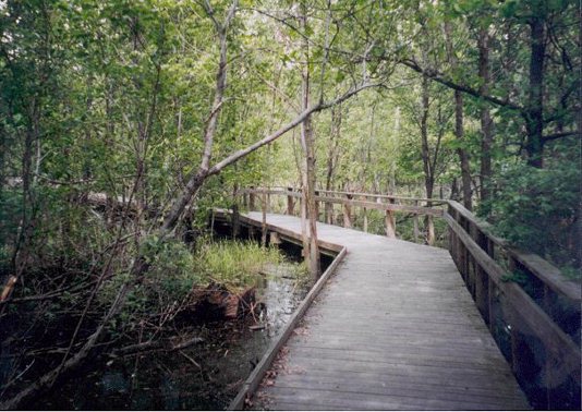 Entrance to wetlands