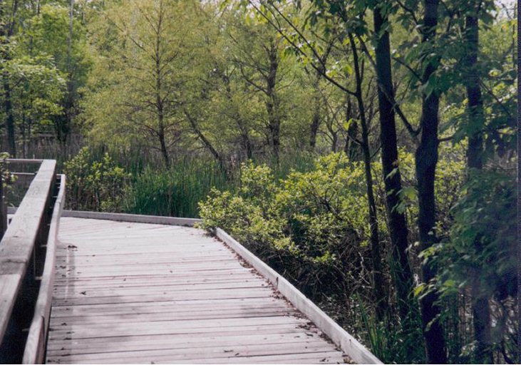 Boardwalk