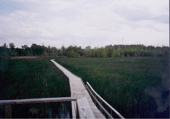 Observation tower